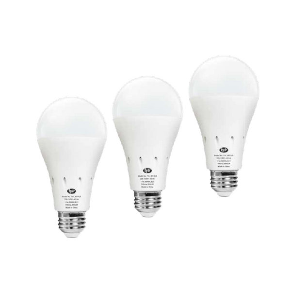 LED Light Bulb