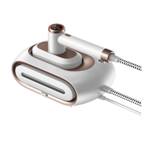 2-in-1 Pro Steamer & Iron